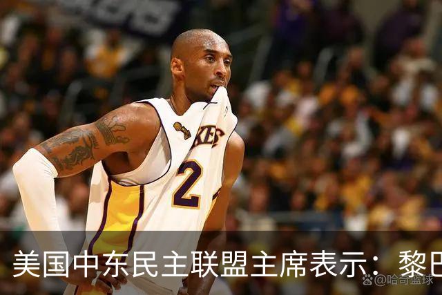 美国中东民主联盟主席表示：黎巴嫩人民希望与以色列建交、清除真主党势力