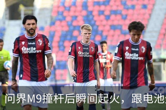 问界M9撞杆后瞬间起火，跟电池无关？